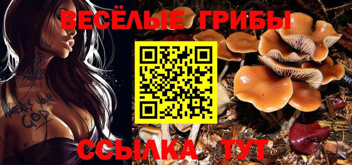 Чистополь  Псилоцибиновые грибы прущие грибы  Вход с VPN  Псилоцибиновые грибы мицелий 