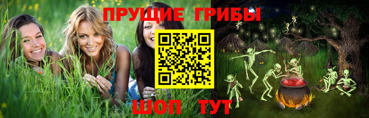 Галлюциногенные грибы MAGIC MUSHROOMS Чистополь